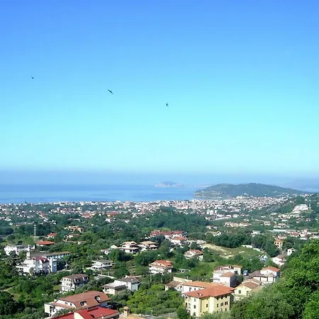 Scauri